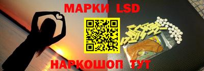 spice Камышлов