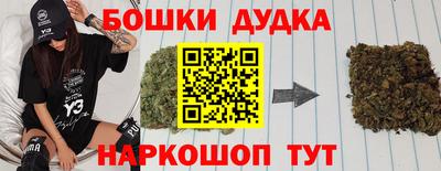 spice Камышлов