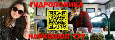 mdpv Кандалакша