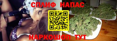 mdpv Кандалакша