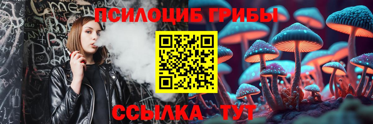 ГАШ Краснознаменск