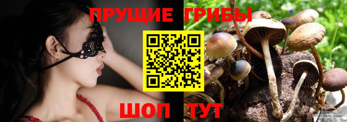 Краснознаменск  Псилоцибиновые грибы Cubensis  Вход с VPN 