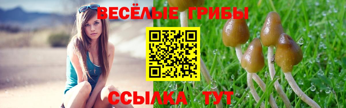 Псилоцибиновые грибы Cubensis Краснознаменск